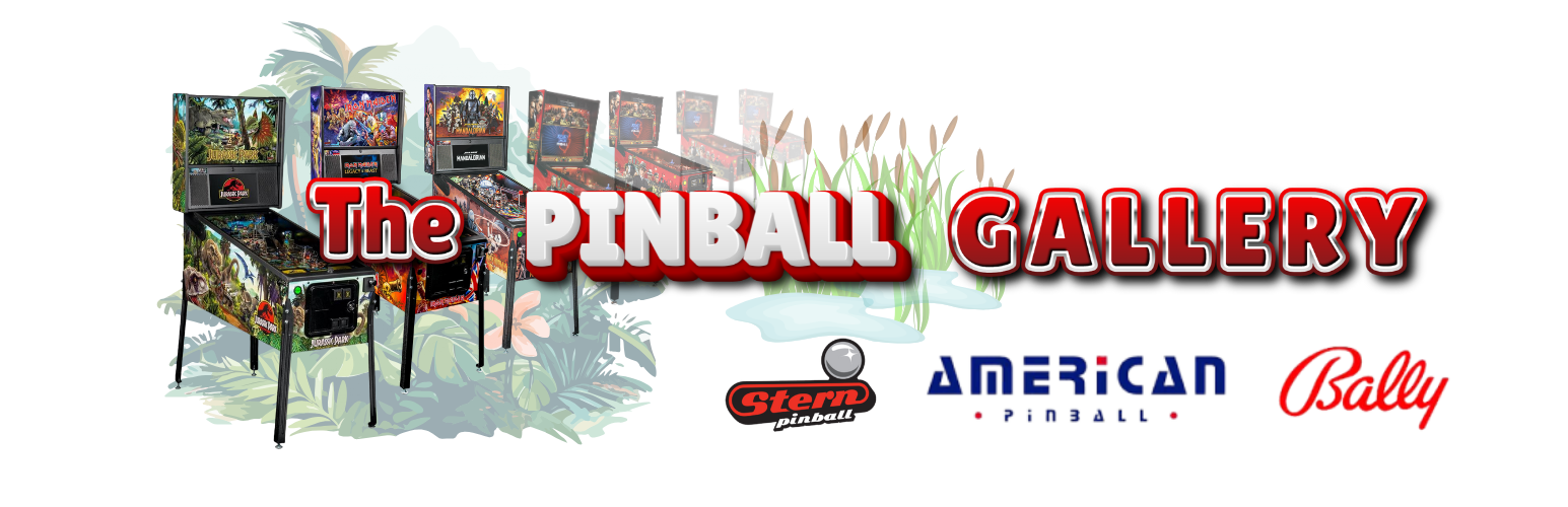 pt pinball gallery7